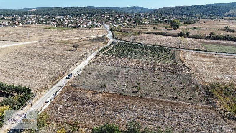 Mecidiye Köyün De 1920m2 Meyve Bahçesi — fotoğraf 9