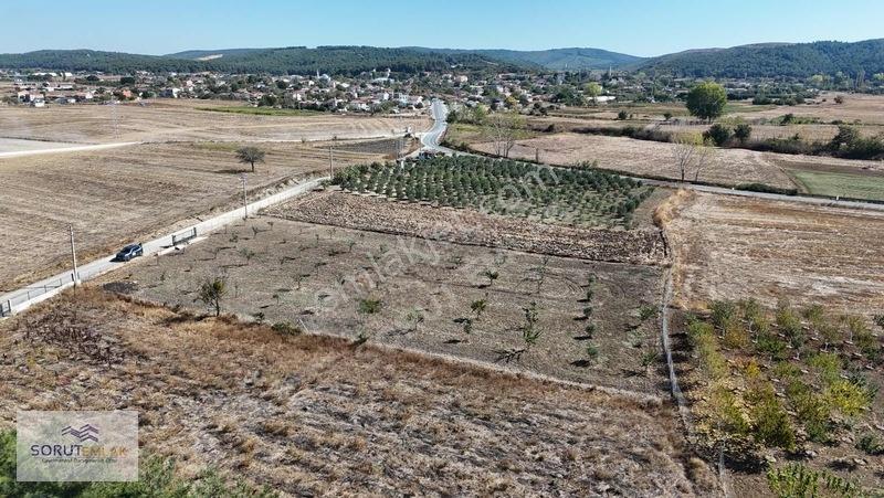 Mecidiye Köyün De 1920m2 Meyve Bahçesi — fotoğraf 10