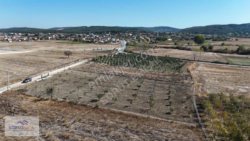 Mecidiye Köyün De 1920m2 Meyve Bahçesi — fotoğraf 11