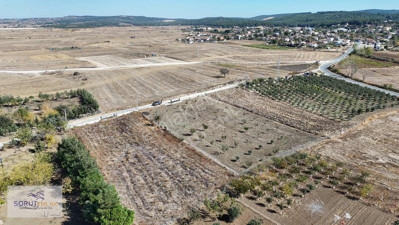 Mecidiye Köyün De 1920m2 Meyve Bahçesi — fotoğraf 12