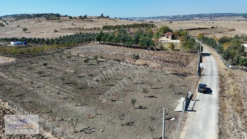 Mecidiye Köyün De 1920m2 Meyve Bahçesi — fotoğraf 14