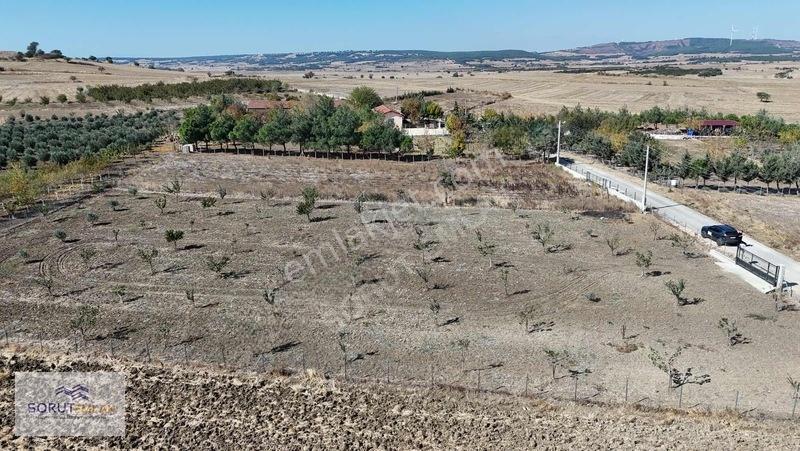 Mecidiye Köyün De 1920m2 Meyve Bahçesi — fotoğraf 15