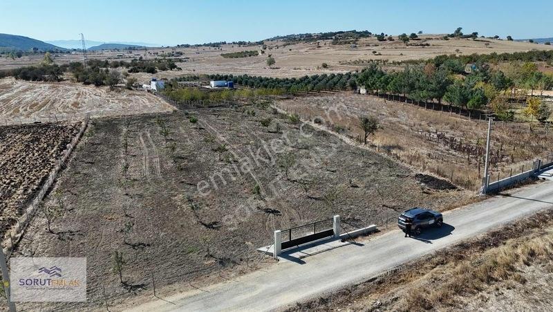 Mecidiye Köyün De 1920m2 Meyve Bahçesi — fotoğraf 17