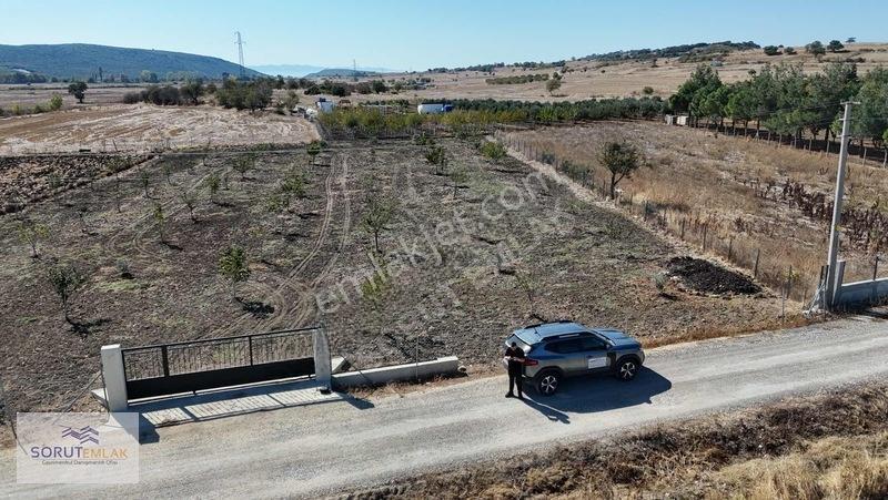 Mecidiye Köyün De 1920m2 Meyve Bahçesi — fotoğraf 18