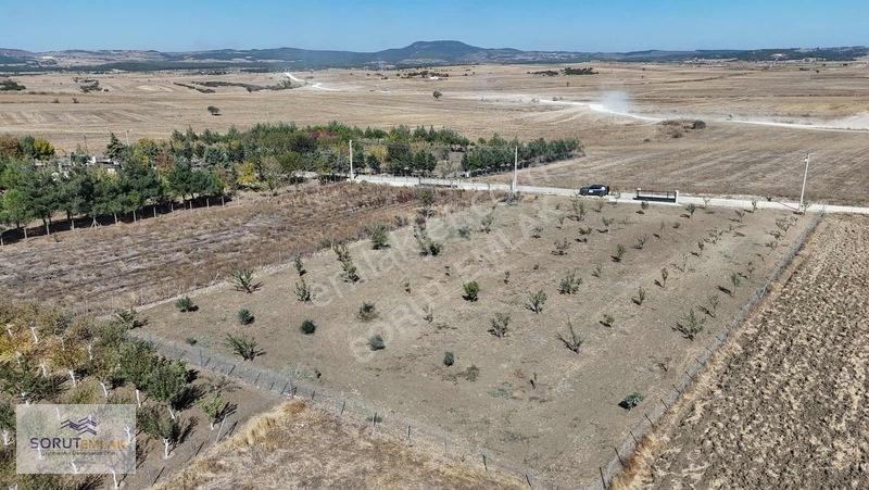 Mecidiye Köyün De 1920m2 Meyve Bahçesi — fotoğraf 22