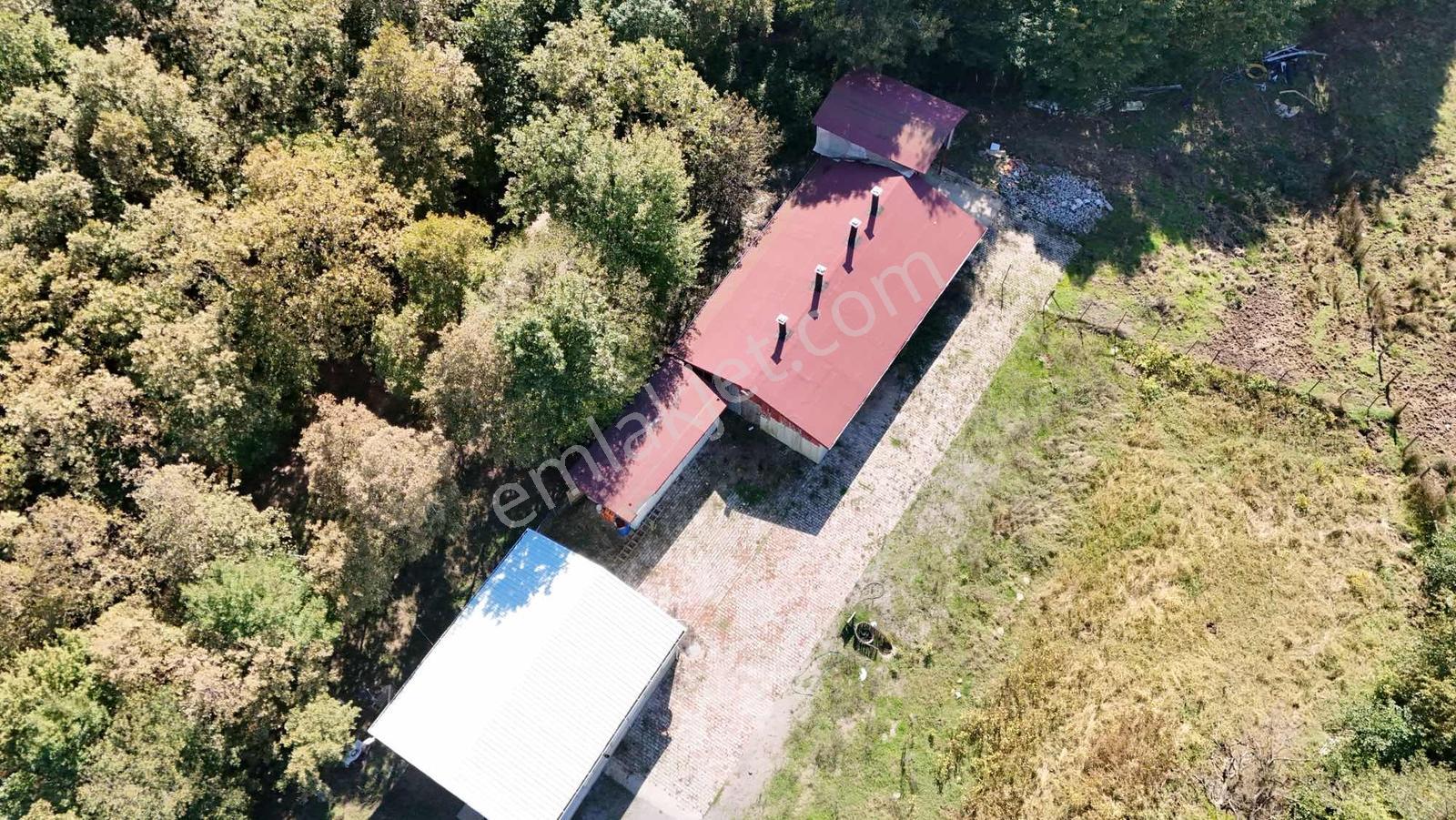 Şile Avcıkoru 1.077 M² Tapulu Mülk | Özel Yol, Elektrik Ve Su — fotoğraf 3