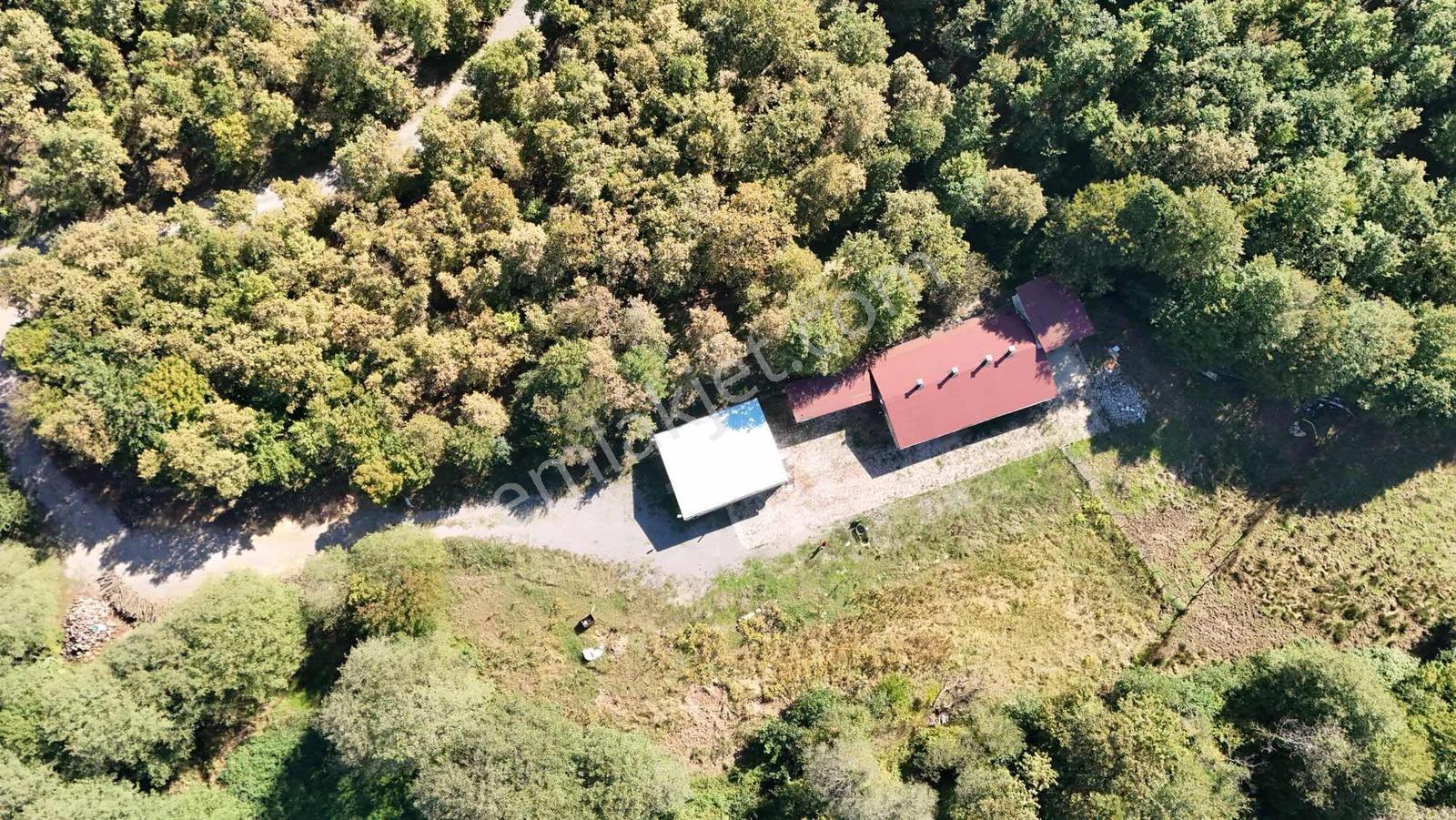 Şile Avcıkoru 1.077 M² Tapulu Mülk | Özel Yol, Elektrik Ve Su — fotoğraf 4