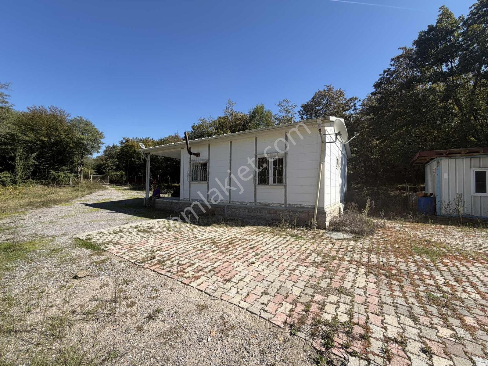 Şile Avcıkoru 1.077 M² Tapulu Mülk | Özel Yol, Elektrik Ve Su — fotoğraf 5