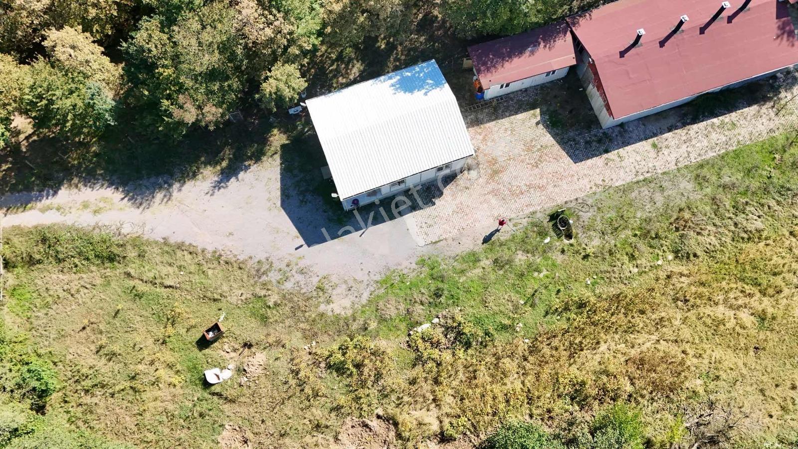 Şile Avcıkoru 1.077 M² Tapulu Mülk | Özel Yol, Elektrik Ve Su — fotoğraf 6