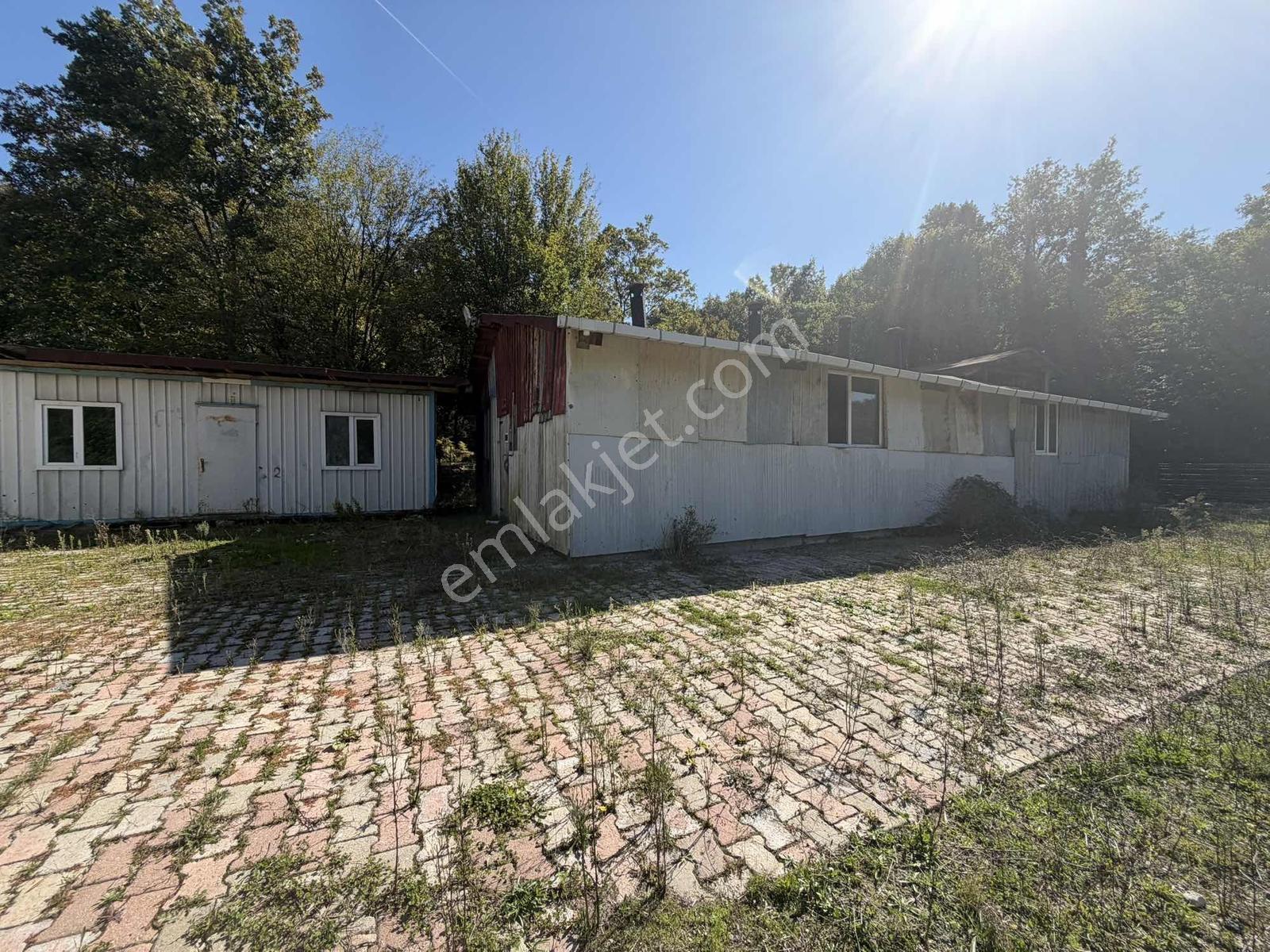 Şile Avcıkoru 1.077 M² Tapulu Mülk | Özel Yol, Elektrik Ve Su — fotoğraf 7