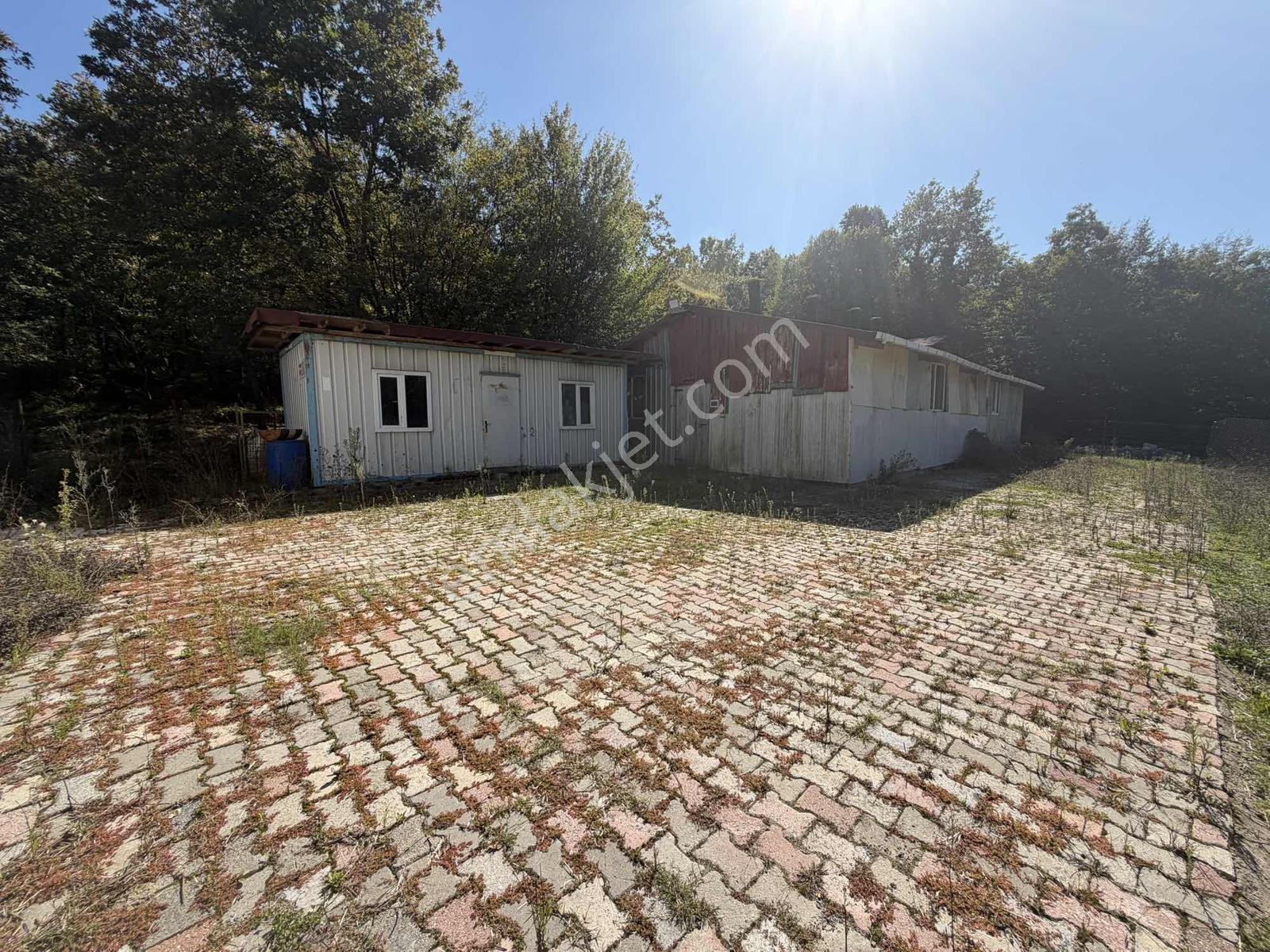 Şile Avcıkoru 1.077 M² Tapulu Mülk | Özel Yol, Elektrik Ve Su — fotoğraf 8