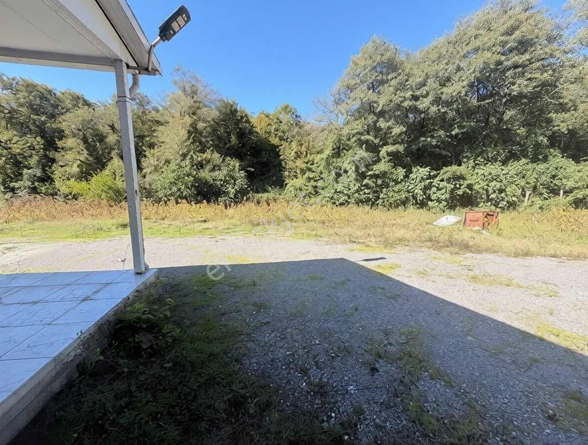 Şile Avcıkoru 1.077 M² Tapulu Mülk | Özel Yol, Elektrik Ve Su — fotoğraf 9