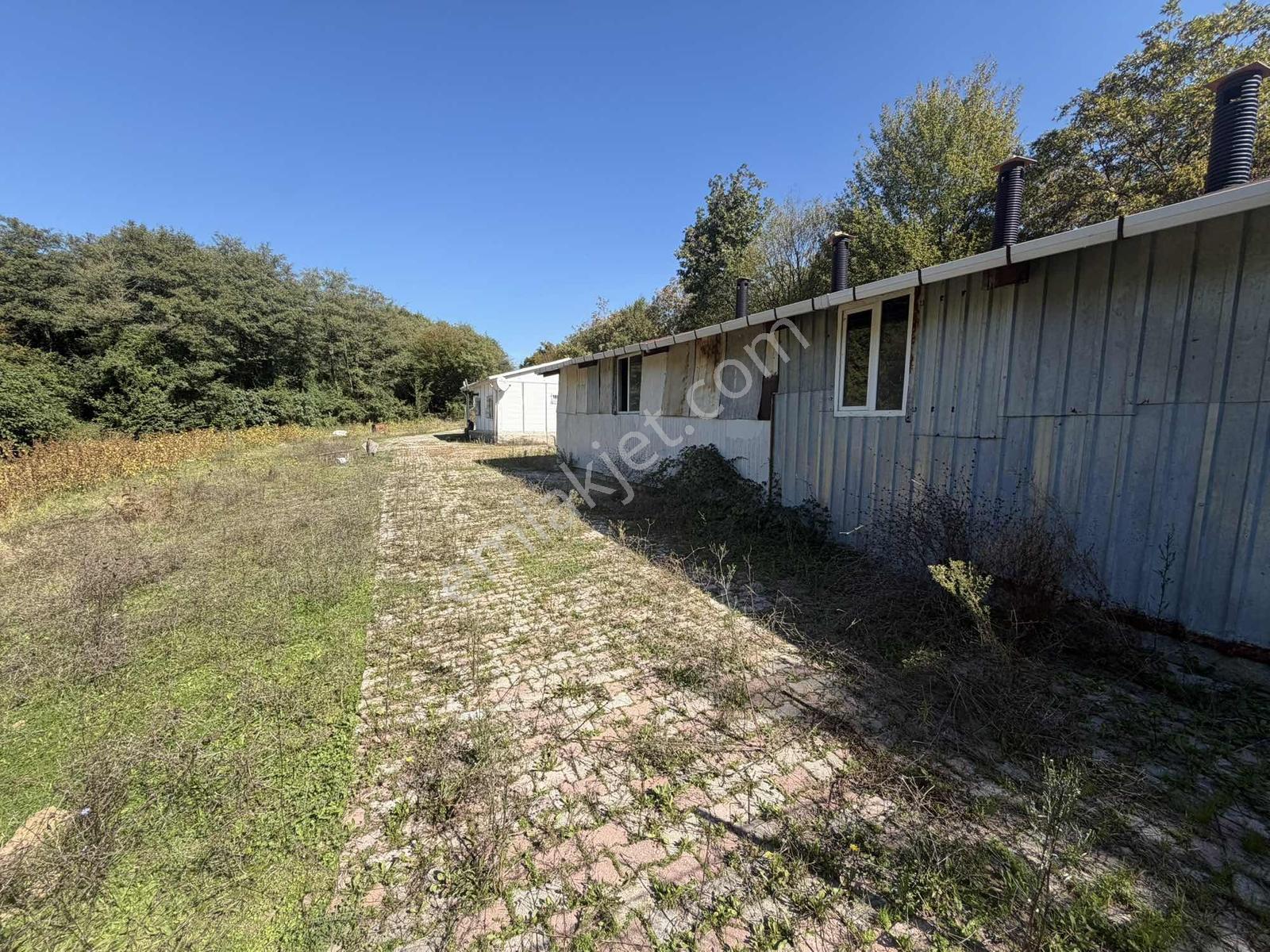 Şile Avcıkoru 1.077 M² Tapulu Mülk | Özel Yol, Elektrik Ve Su — fotoğraf 10