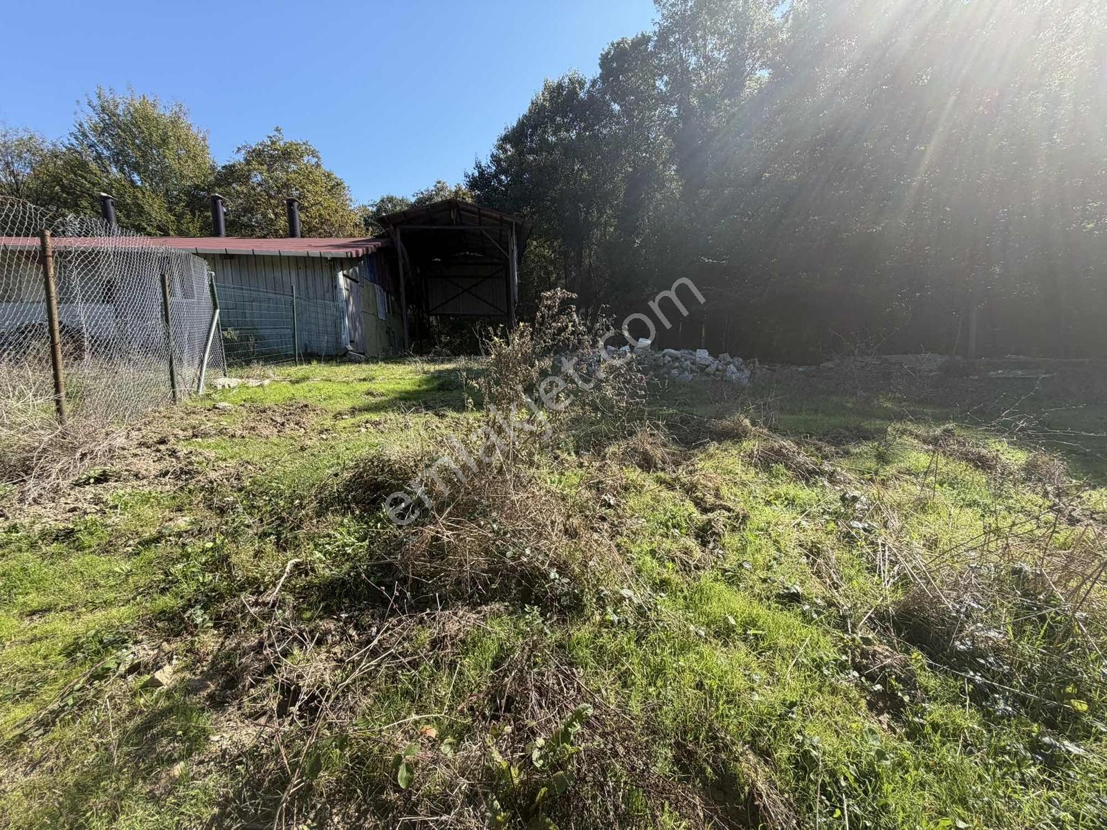 Şile Avcıkoru 1.077 M² Tapulu Mülk | Özel Yol, Elektrik Ve Su — fotoğraf 11