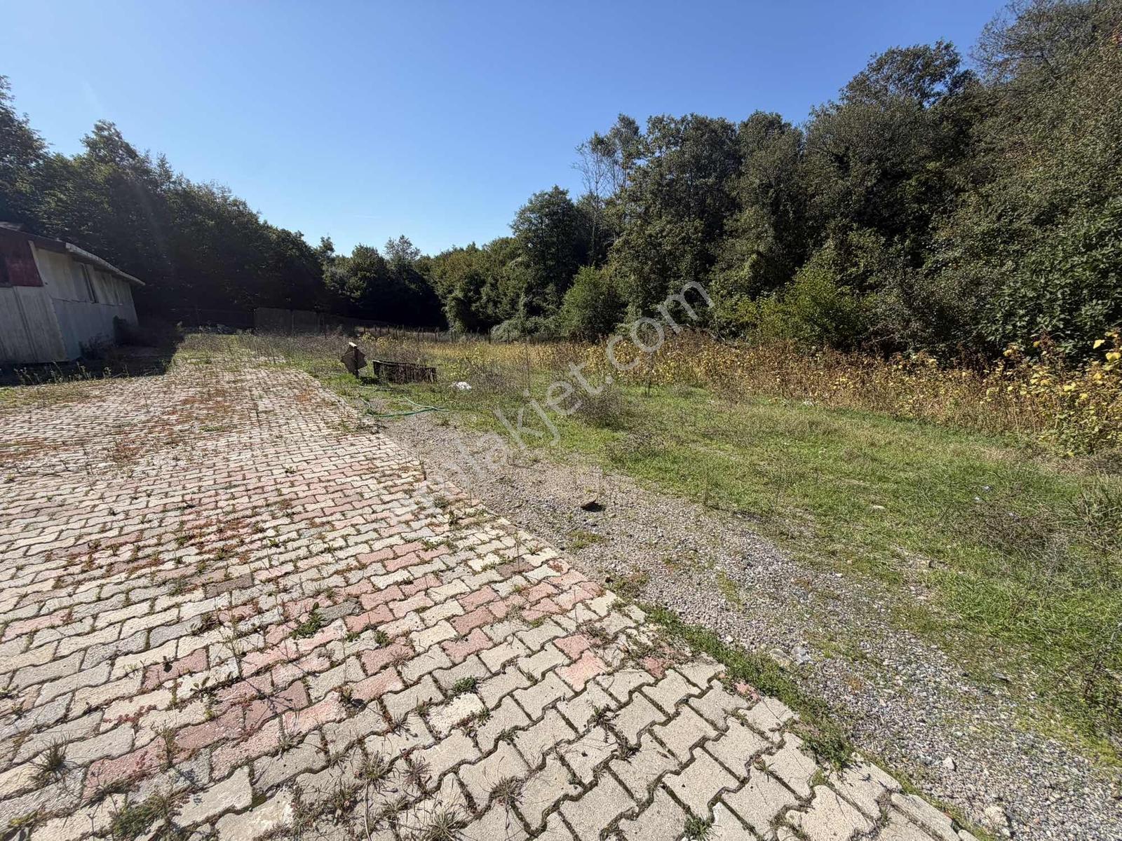 Şile Avcıkoru 1.077 M² Tapulu Mülk | Özel Yol, Elektrik Ve Su — fotoğraf 13