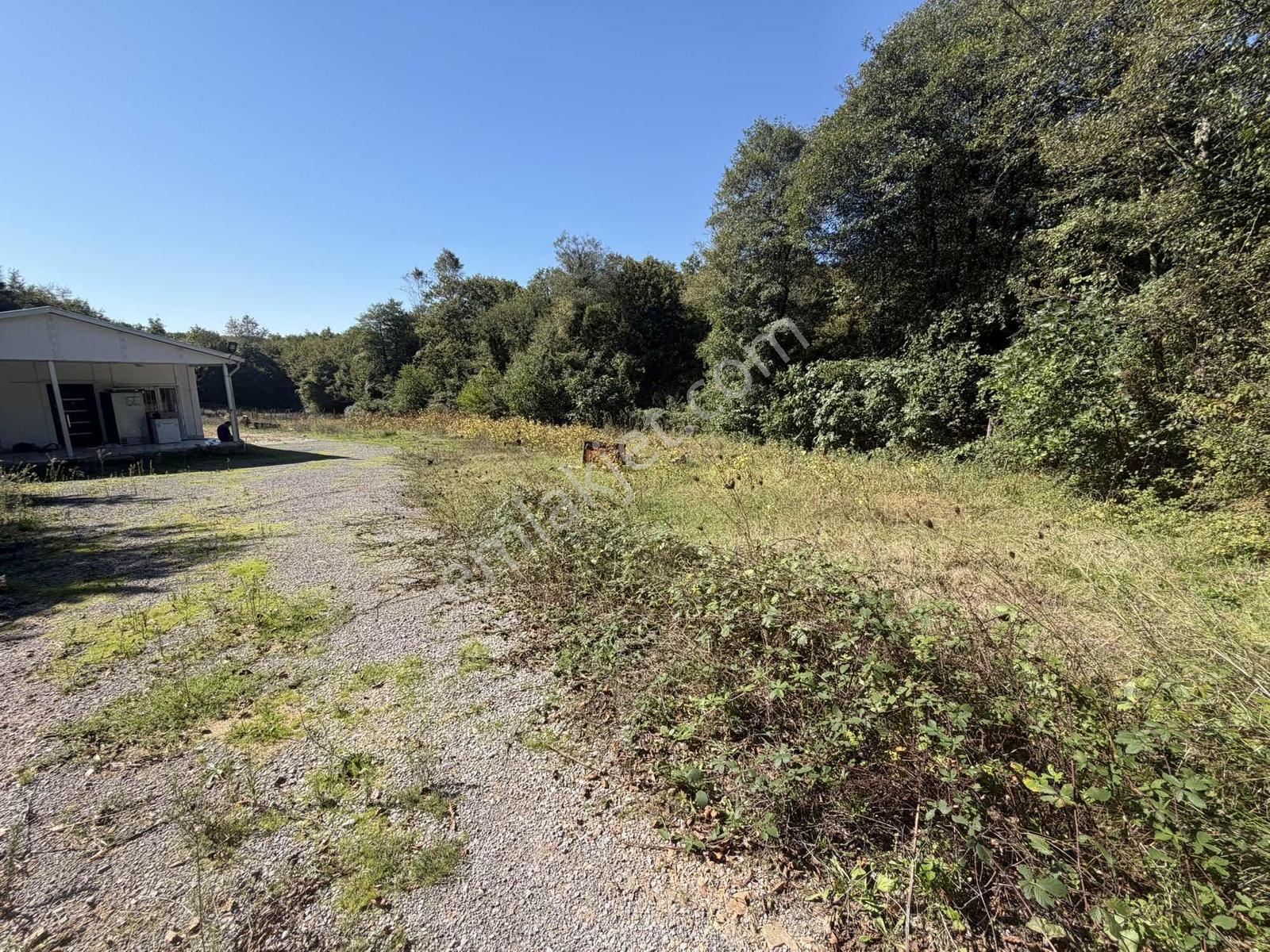 Şile Avcıkoru 1.077 M² Tapulu Mülk | Özel Yol, Elektrik Ve Su — fotoğraf 14