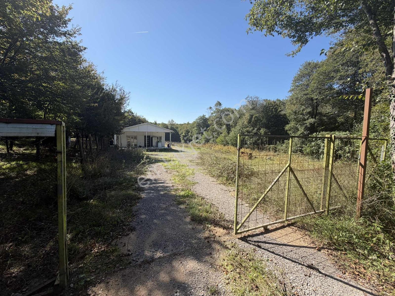 Şile Avcıkoru 1.077 M² Tapulu Mülk | Özel Yol, Elektrik Ve Su — fotoğraf 15