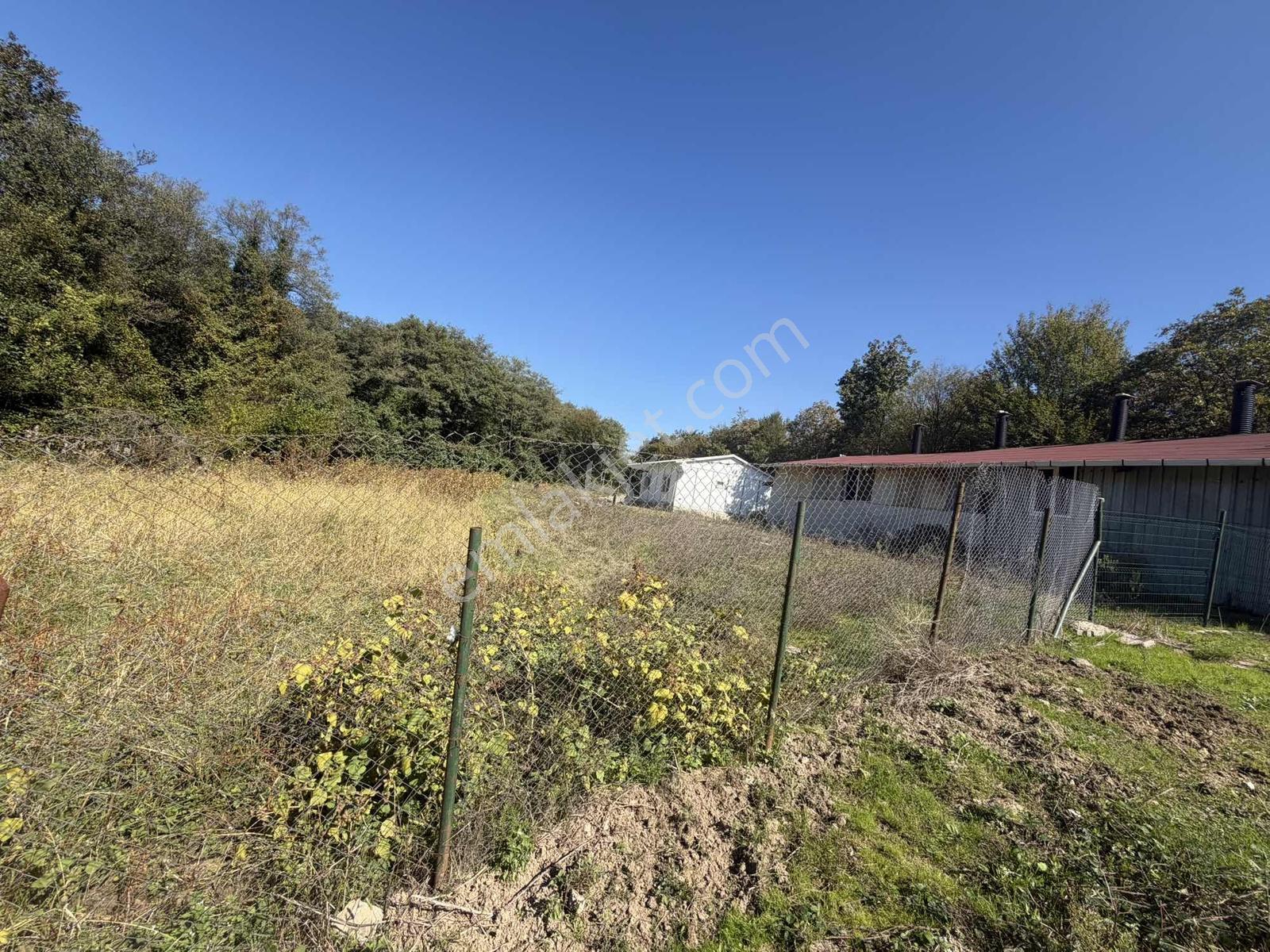Şile Avcıkoru 1.077 M² Tapulu Mülk | Özel Yol, Elektrik Ve Su — fotoğraf 16