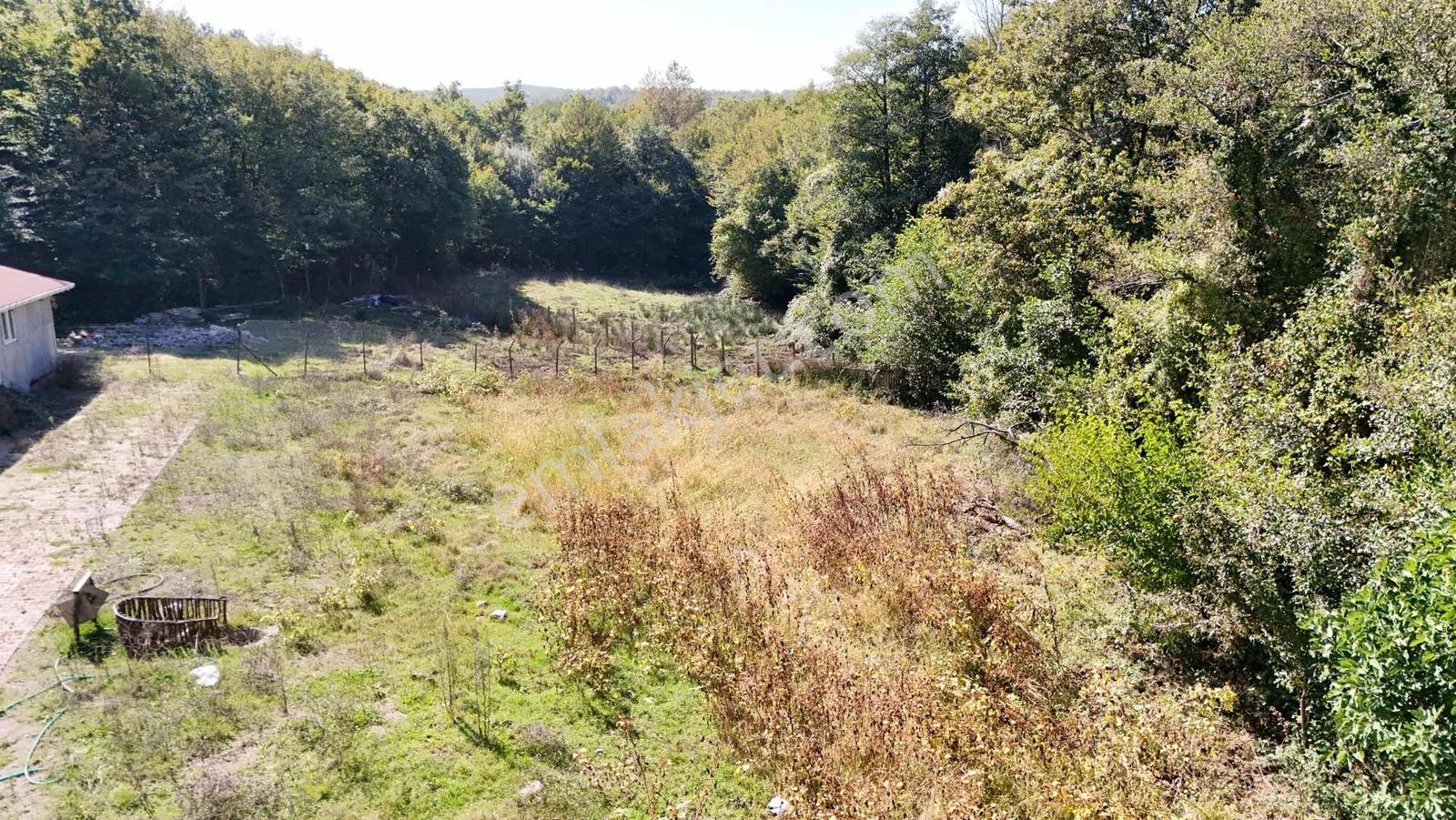 Şile Avcıkoru 1.077 M² Tapulu Mülk | Özel Yol, Elektrik Ve Su — fotoğraf 17