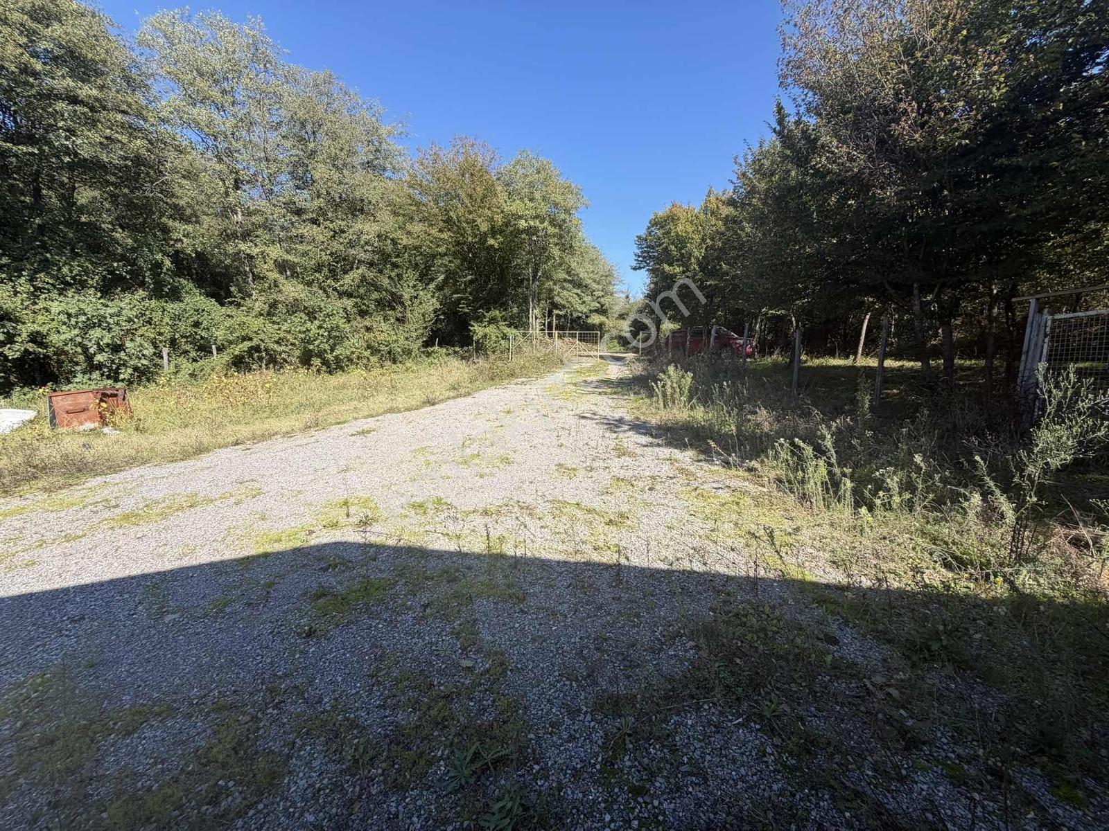 Şile Avcıkoru 1.077 M² Tapulu Mülk | Özel Yol, Elektrik Ve Su — fotoğraf 19