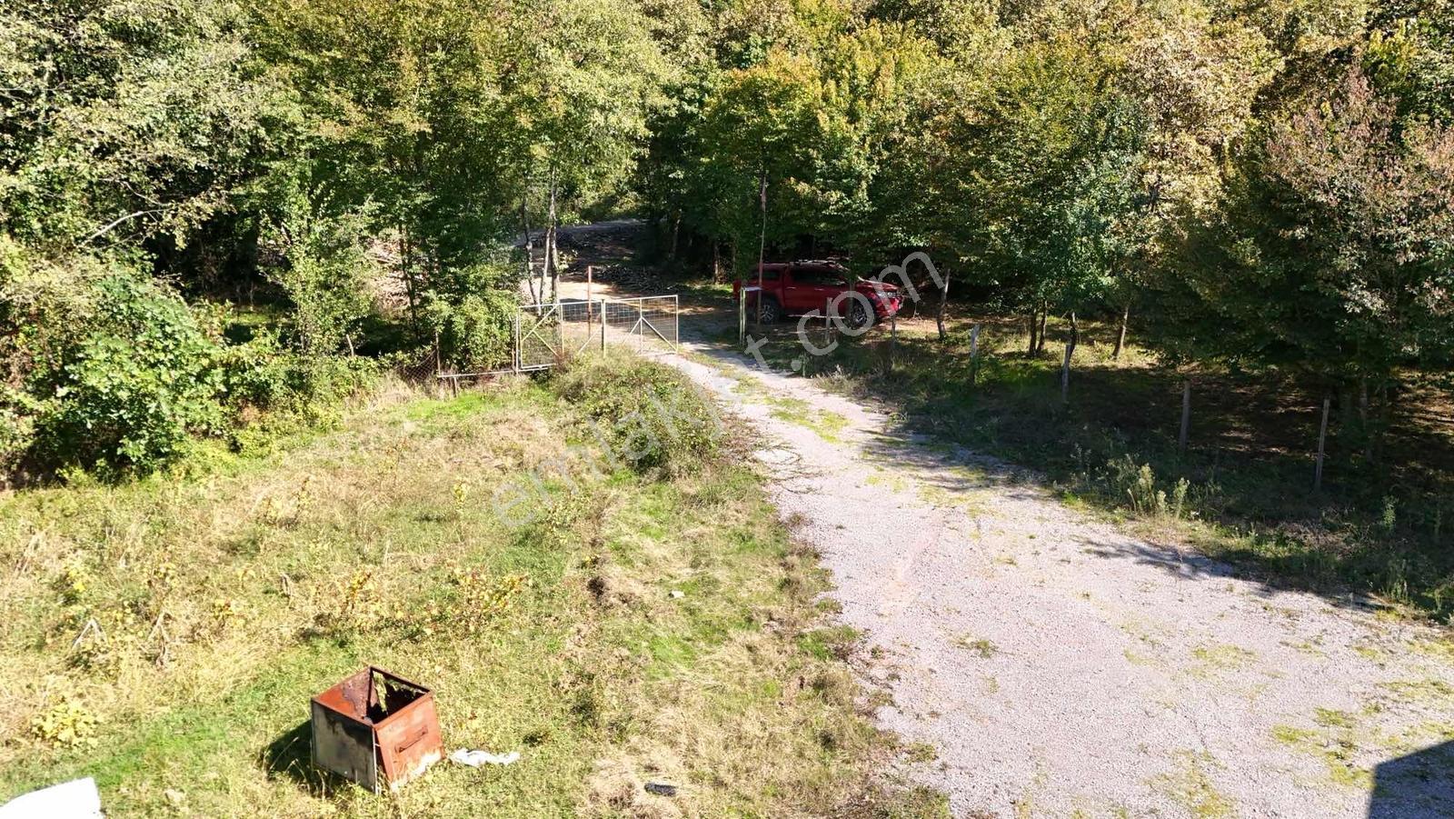 Şile Avcıkoru 1.077 M² Tapulu Mülk | Özel Yol, Elektrik Ve Su — fotoğraf 20