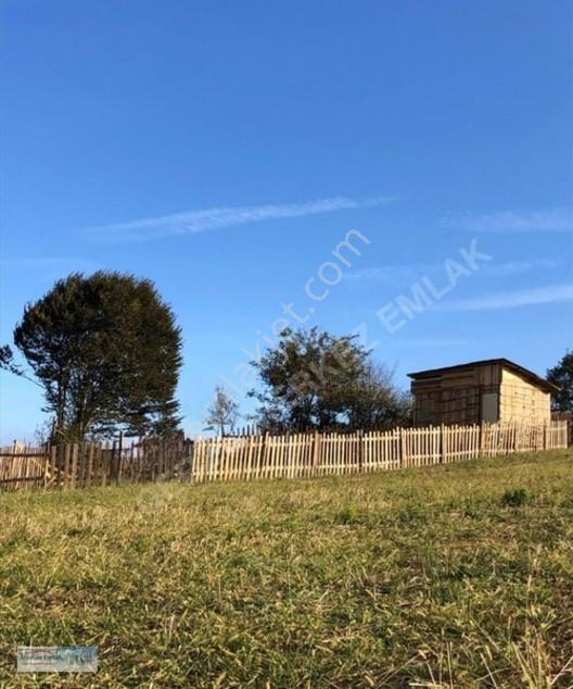 Merkez Emlâk Armağan'Dan 241M2 Etrafı Çevrili İçinde Ufak Bir Ev