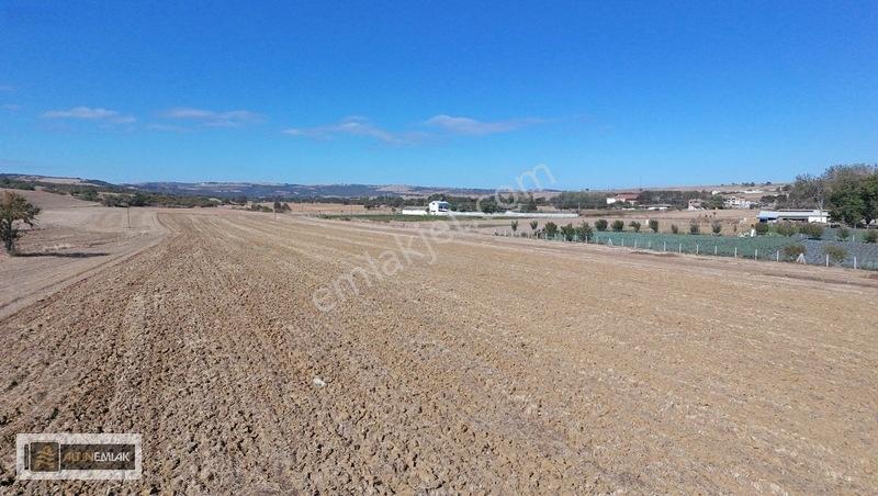 Tekirdağ Süleymanpaşa Mahramlı Mh De 5442 M2 İmarlı Arsa — fotoğraf 3