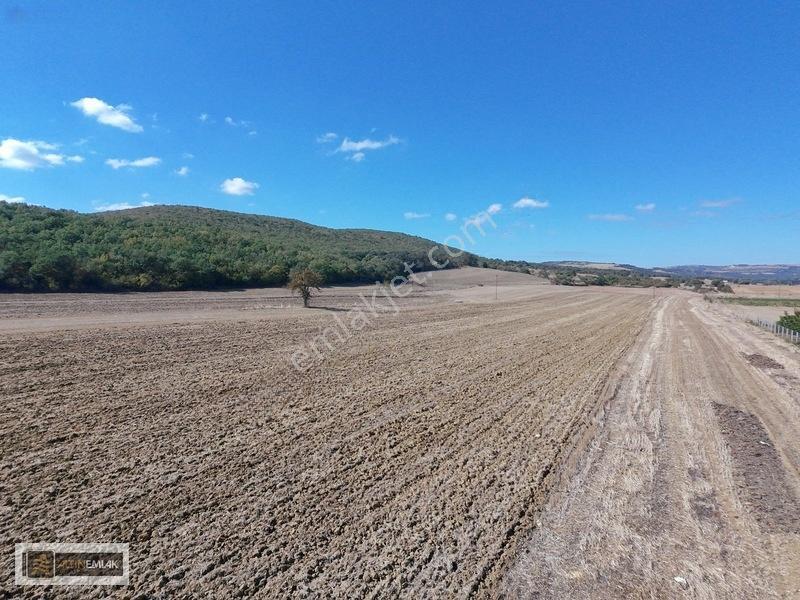 Tekirdağ Süleymanpaşa Mahramlı Mh De 5442 M2 İmarlı Arsa — fotoğraf 5