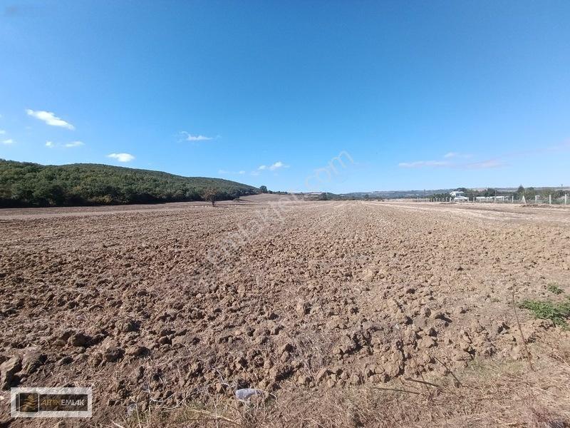 Tekirdağ Süleymanpaşa Mahramlı Mh De 5442 M2 İmarlı Arsa — fotoğraf 6