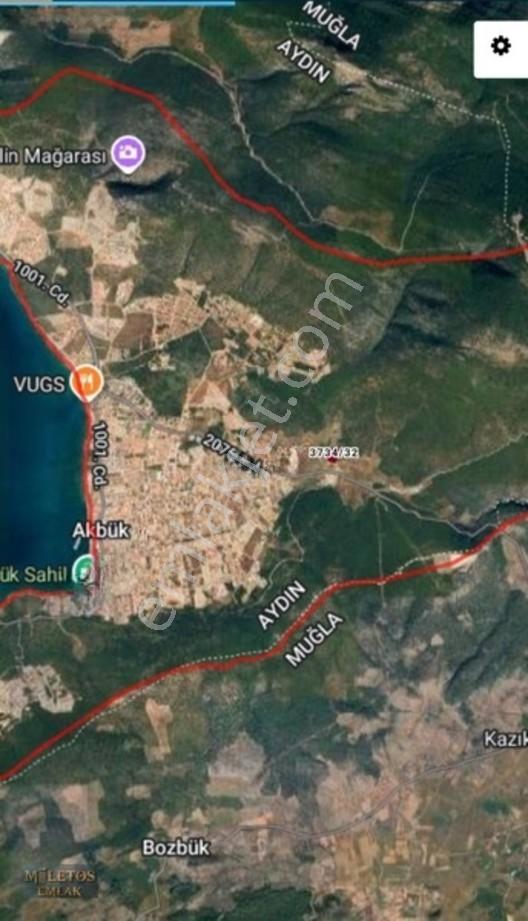 Didim Akbuk De Deniz Manzarali Zeytinlik — fotoğraf 2