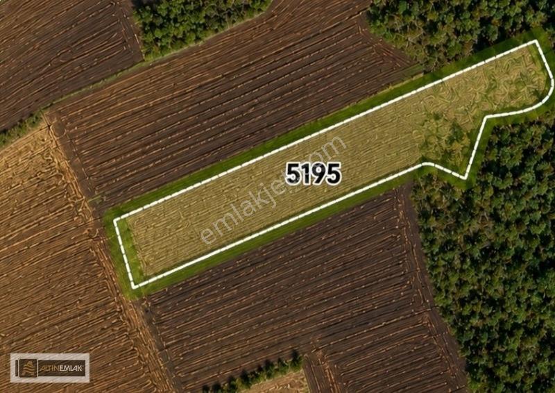 Tekirdağ-süleymanpaşa Karacakılavuz Mh. "3500" M2 Satılık Tarla — fotoğraf 2
