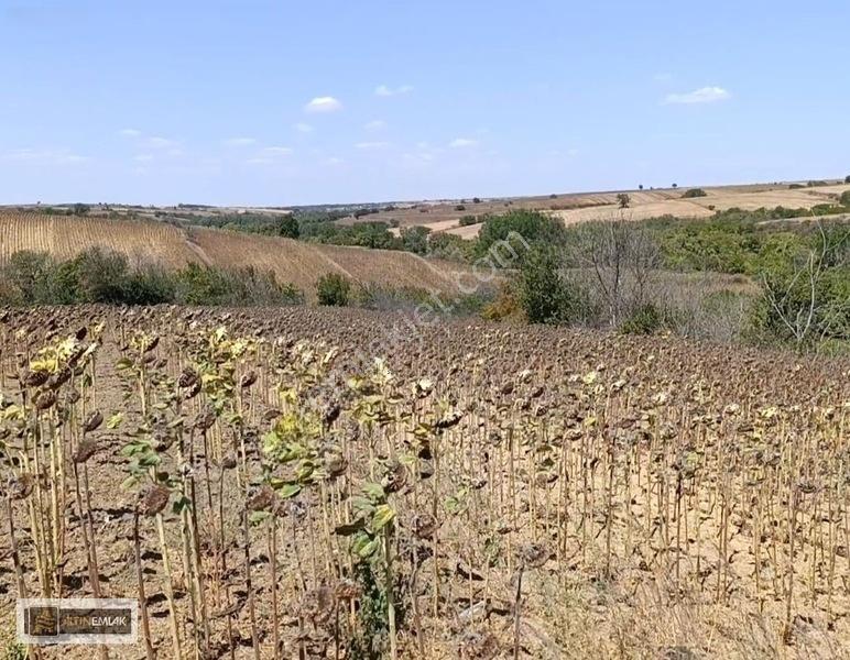 Tekirdağ-süleymanpaşa Karacakılavuz Mh. "3500" M2 Satılık Tarla — fotoğraf 4