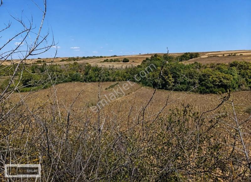 Tekirdağ-süleymanpaşa Karacakılavuz Mh. "3500" M2 Satılık Tarla — fotoğraf 5