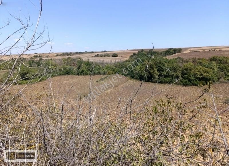 Tekirdağ-süleymanpaşa Karacakılavuz Mh. "3500" M2 Satılık Tarla — fotoğraf 6