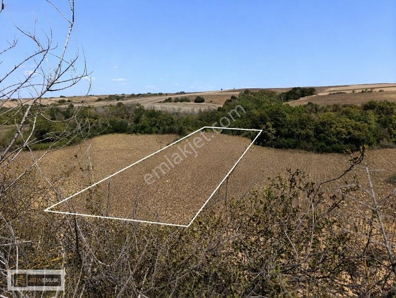 Tekirdağ-süleymanpaşa Karacakılavuz Mh. "3500" M2 Satılık Tarla — fotoğraf 7