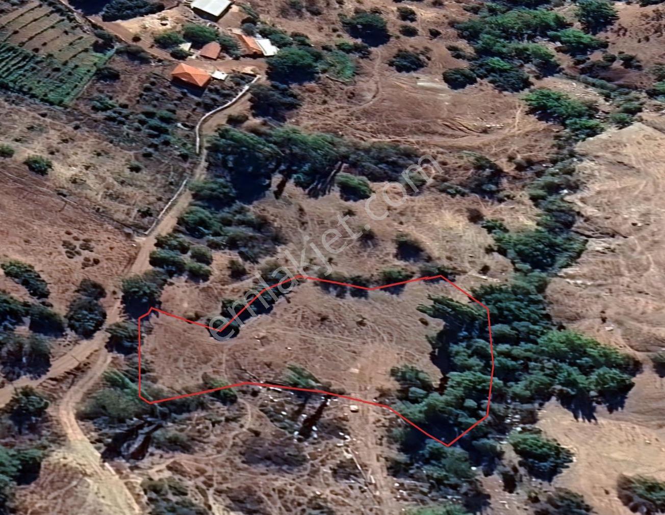Antalya Konyaaltı Doyran'da 3.290 M² Müstakil Tapulu Parsel — fotoğraf 9
