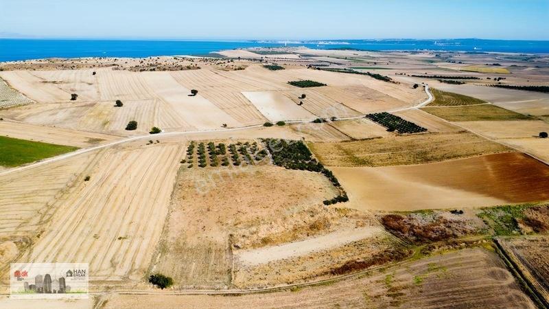 Kumkalede 14.000m2 İçinde 500 Zeytin Ağacı Olan Tarla Satılıktır — fotoğraf 10