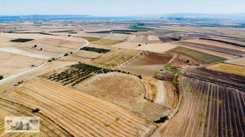 Kumkalede 14.000m2 İçinde 500 Zeytin Ağacı Olan Tarla Satılıktır — fotoğraf 11
