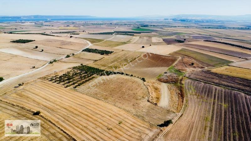Kumkalede 14.000m2 İçinde 500 Zeytin Ağacı Olan Tarla Satılıktır — fotoğraf 12
