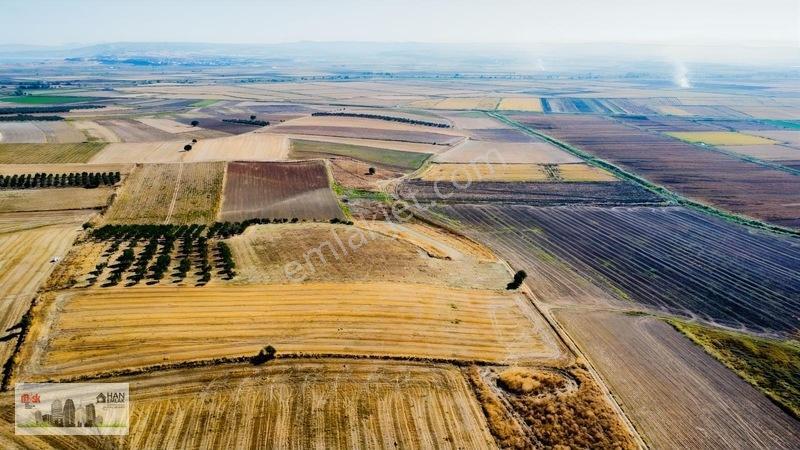 Kumkalede 14.000m2 İçinde 500 Zeytin Ağacı Olan Tarla Satılıktır — fotoğraf 14