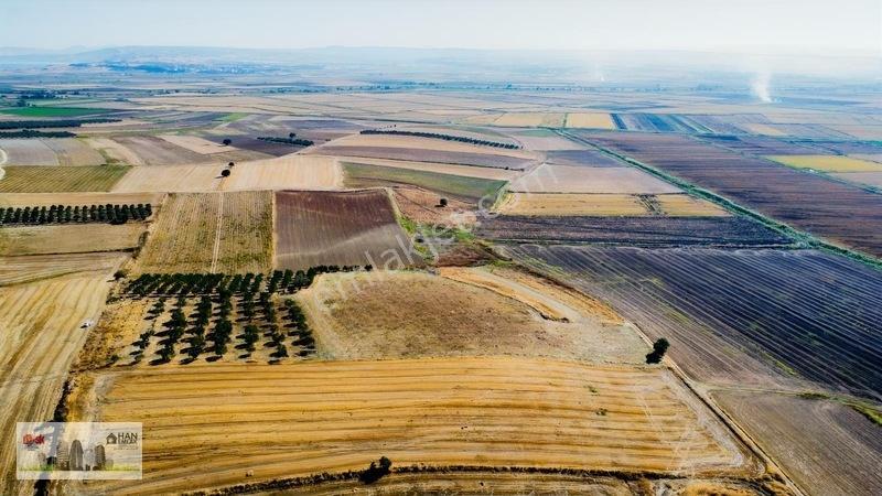 Kumkalede 14.000m2 İçinde 500 Zeytin Ağacı Olan Tarla Satılıktır — fotoğraf 16
