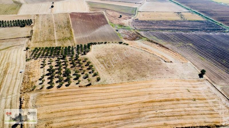 Kumkalede 14.000m2 İçinde 500 Zeytin Ağacı Olan Tarla Satılıktır — fotoğraf 18