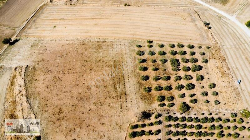 Kumkalede 14.000m2 İçinde 500 Zeytin Ağacı Olan Tarla Satılıktır — fotoğraf 27