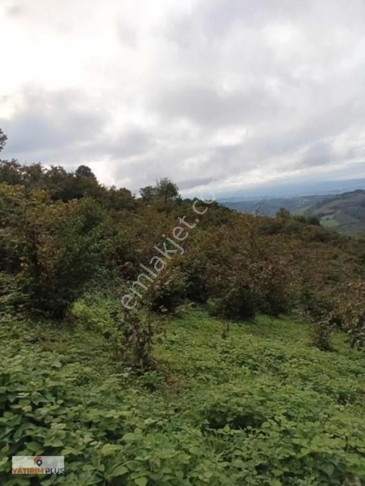 Yatırım Plus'tan Satılık Düzköy'de Ev Yapılabilir Tarla — fotoğraf 5