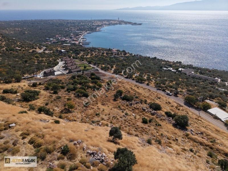 Assosun Değerli Villalar Bölgesi 1.000m² Ekoturizm İmarlı Arsa — fotoğraf 4