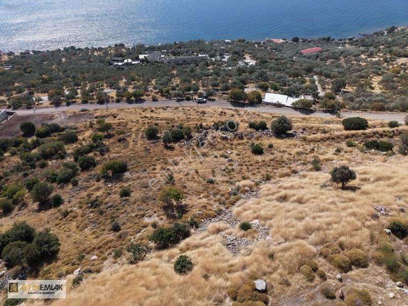 Assosun Değerli Villalar Bölgesi 1.000m² Ekoturizm İmarlı Arsa — fotoğraf 5