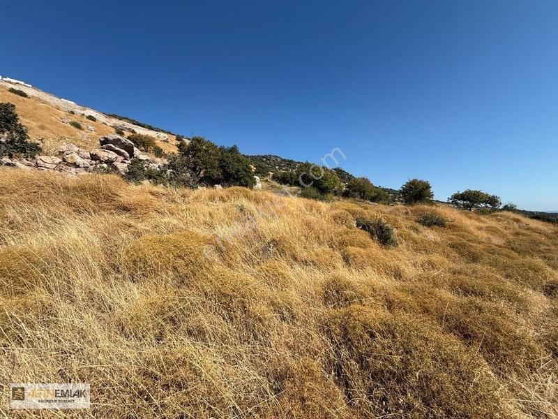 Assosun Değerli Villalar Bölgesi 1.000m² Ekoturizm İmarlı Arsa — fotoğraf 7