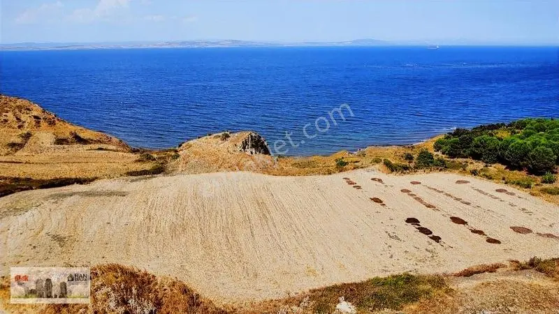 Lapseki Alpagut'Ta 937 M2 1/24 Hisseli Full Deniz Manzaralıtarla