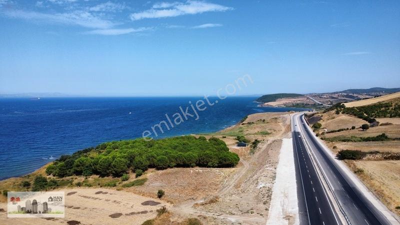 Lapseki Alpagut'ta 937 M2 1/24 Hisseli Full Deniz Manzaralıtarla — fotoğraf 5