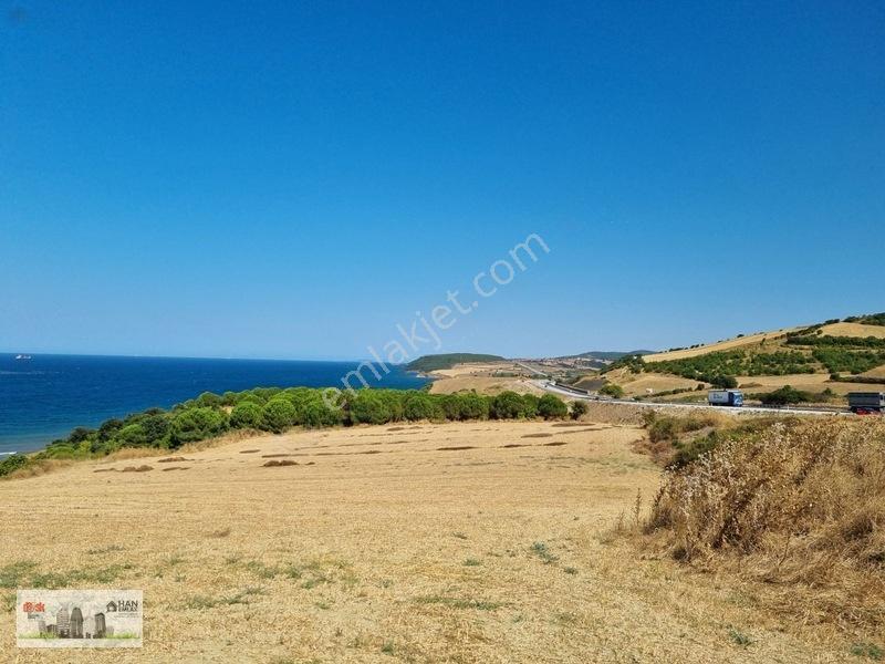 Lapseki Alpagut'ta 937 M2 1/24 Hisseli Full Deniz Manzaralıtarla — fotoğraf 8